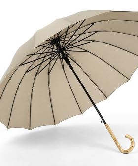 バンブー傘